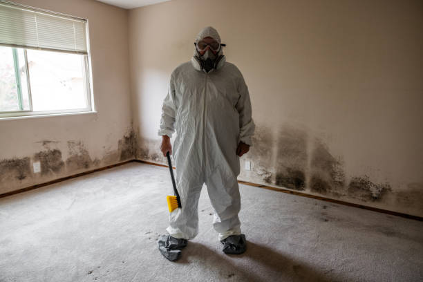 Best Residential Mold Removal  in Dover, AR